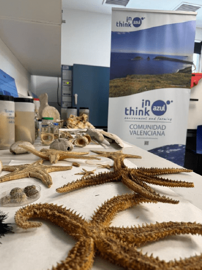 Captura de pantalla 2025-11-24 123412