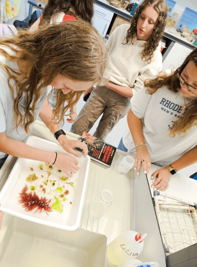 Captura de pantalla 2025-11-24 123427