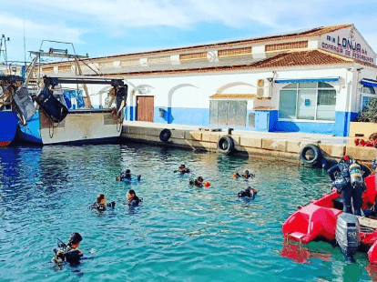 Captura de pantalla 2025-11-24 124050