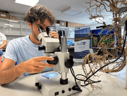 Captura de pantalla 2025-11-24 124349