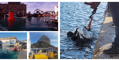 Captura de pantalla 2025-11-24 124740