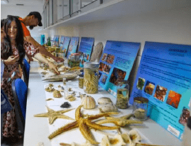 Captura de pantalla 2025-11-24 125129