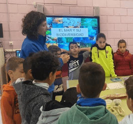 Captura de pantalla 2025-11-24 132602